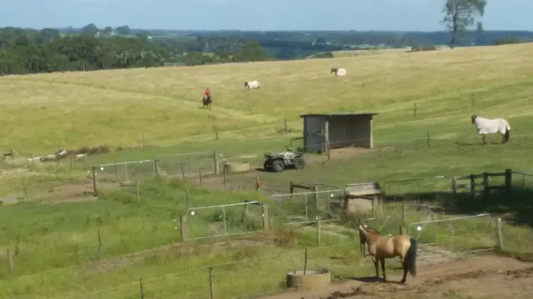 Fifth view of Homely rural property listing, Address available on request