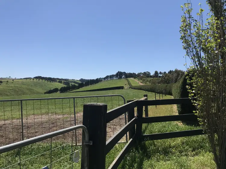 Second view of Homely land listing, 518-520 Benson Road, Toolern Vale VIC 3337