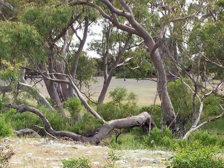 Third view of Homely land listing, Lot 3568 Arrowsmith, Arrowsmith WA 6525