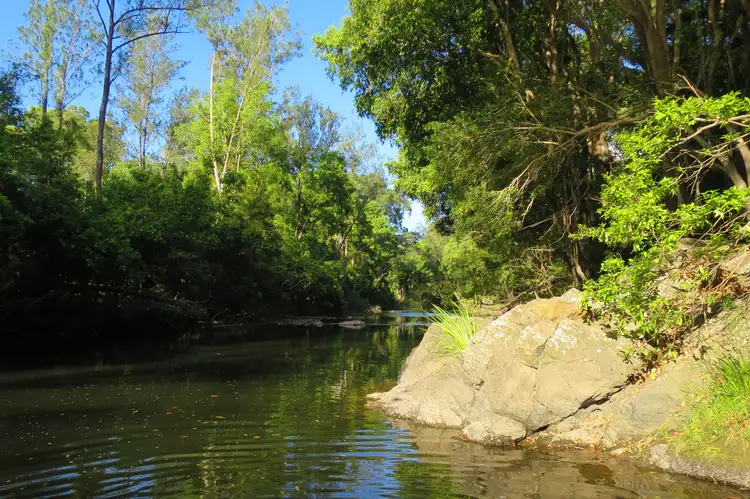 Second view of Homely house listing, 1446 Kyogle Road, Uki NSW 2484