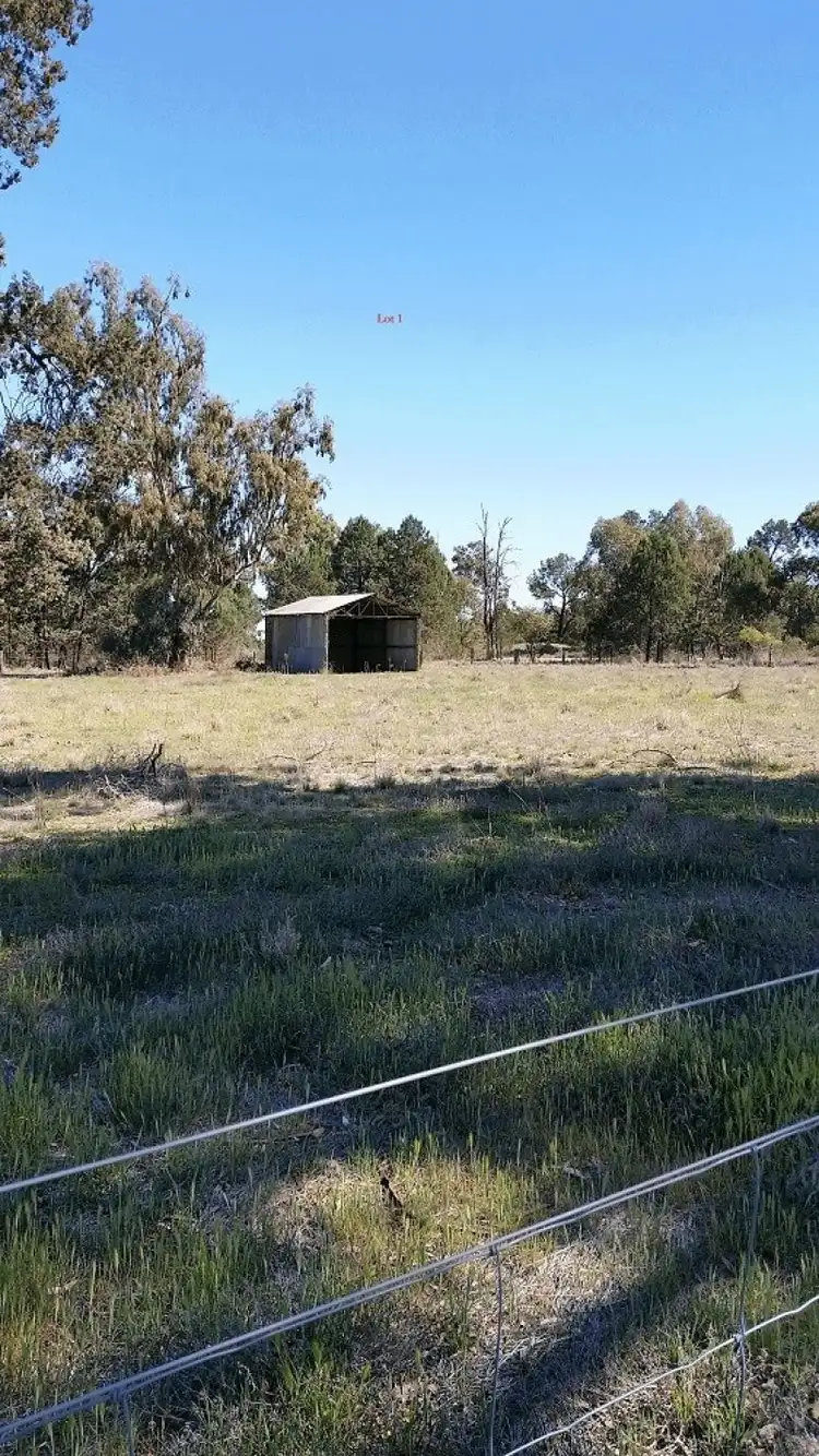 21 Bunganbil Street, Grong Grong NSW 2652