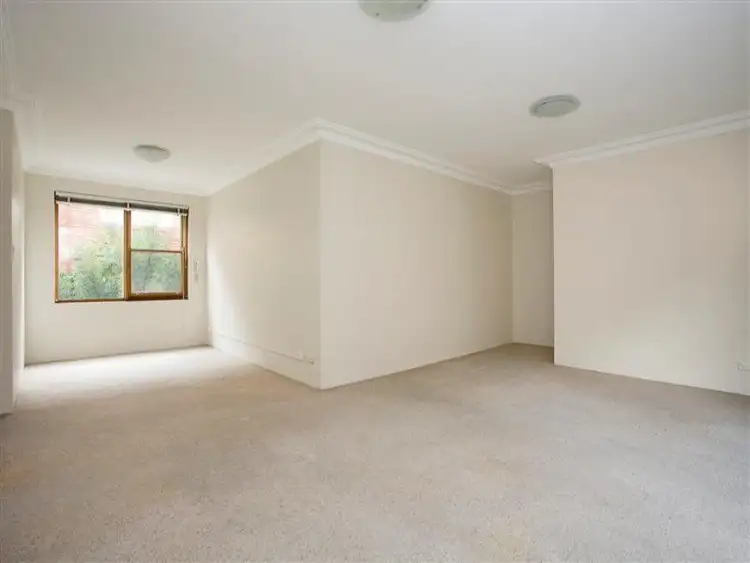 7/36 Alt St, Ashfield NSW 2131