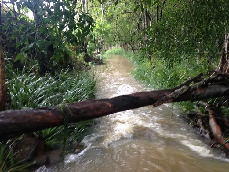 Second view of Homely land listing, 12 Bowerbird Avenue, Burnside QLD 4560