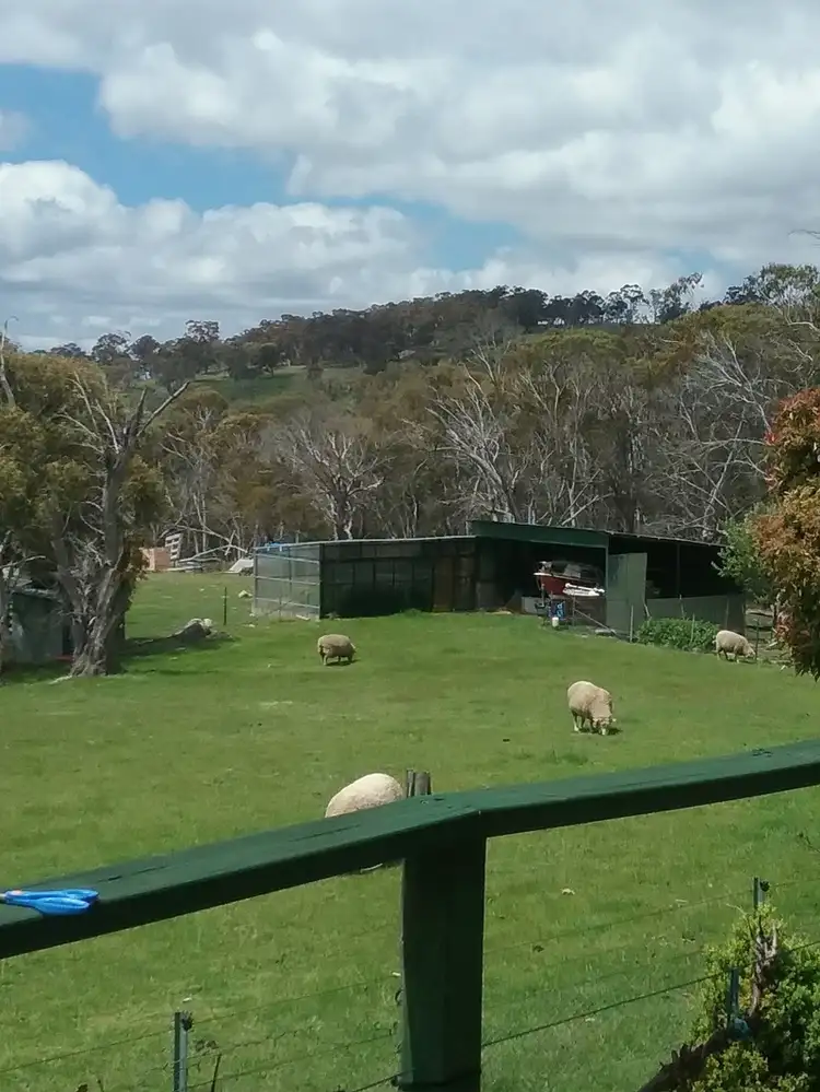 Seventh view of Homely rural property listing, 6074 Snowy Mts Hwy, Adaminaby NSW 2629