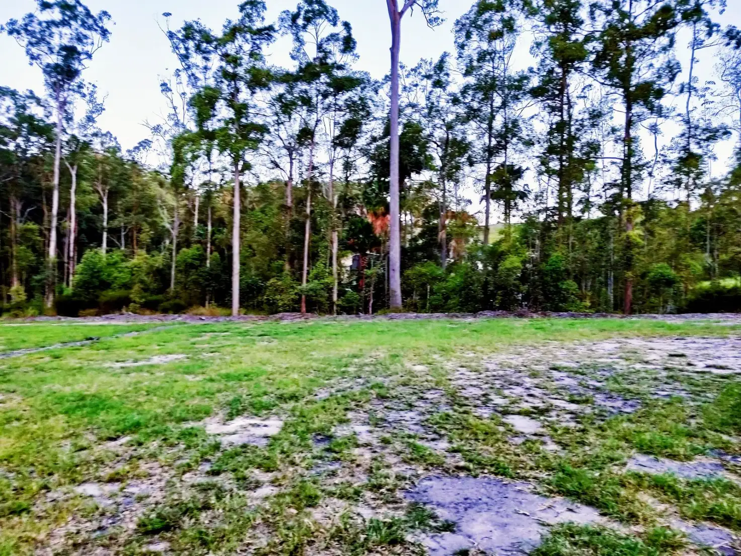 Main view of Homely land listing, 129 Kingfisher Crescent, Palmview QLD 4553