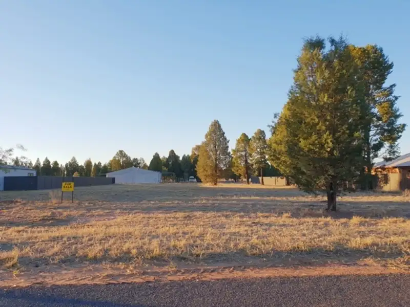 Main view of Homely land listing, 44 Farrar Street, Gilgandra NSW 2827