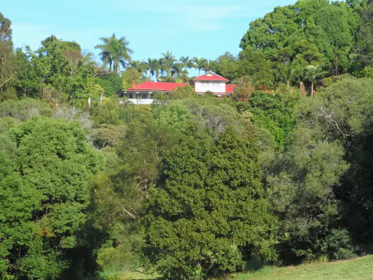 Fourth view of Homely house listing, 3 Pine Tree Dr West, Lake Macdonald QLD 4563