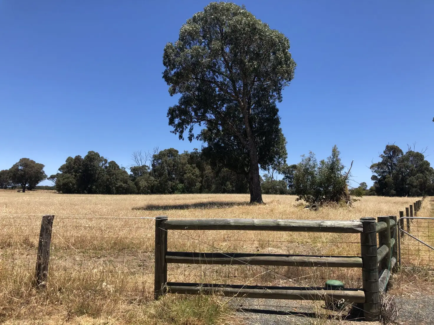 Main view of Homely land listing, 103 Newnham Rd, Lake Clifton WA 6215