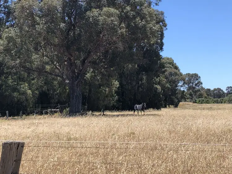 Sixth view of Homely land listing, 103 Newnham Rd, Lake Clifton WA 6215