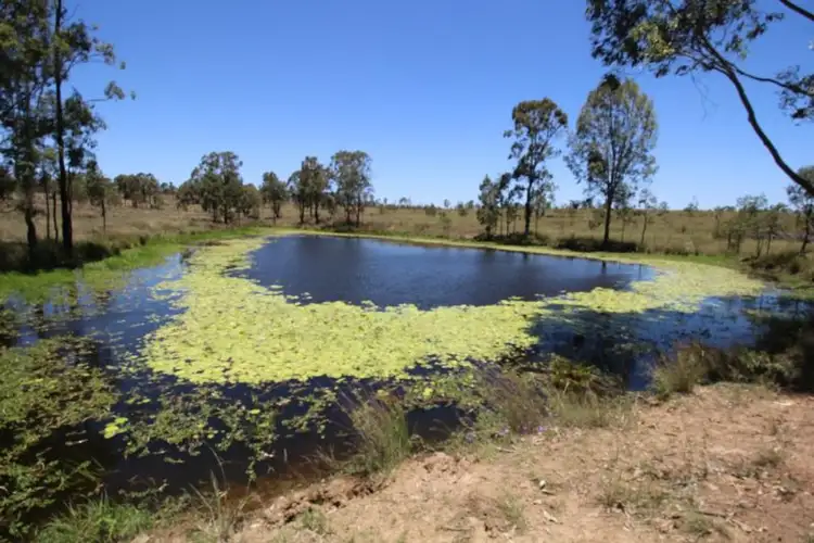 Fourth view of Homely rural property listing, 88 Kintyre Road, Cushnie QLD 4608