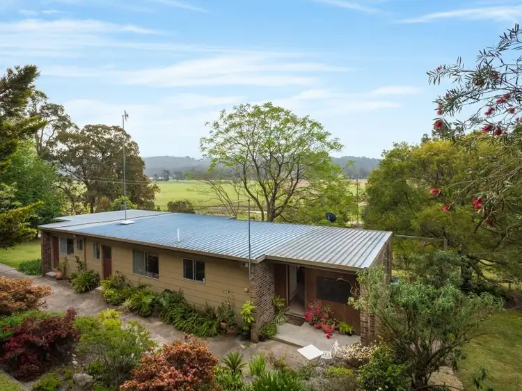 Main view of Homely house listing, 53 Mount Darragh Road, South Pambula NSW 2549