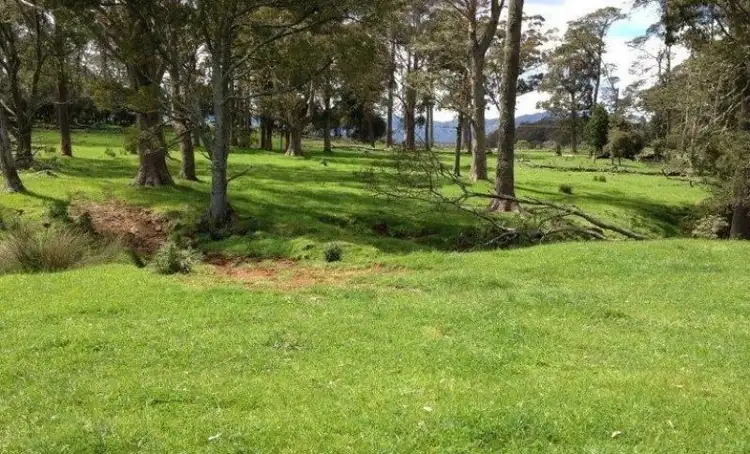 Fourth view of Homely rural property listing, 830 Cradle Mountain Road, Erriba TAS 7310