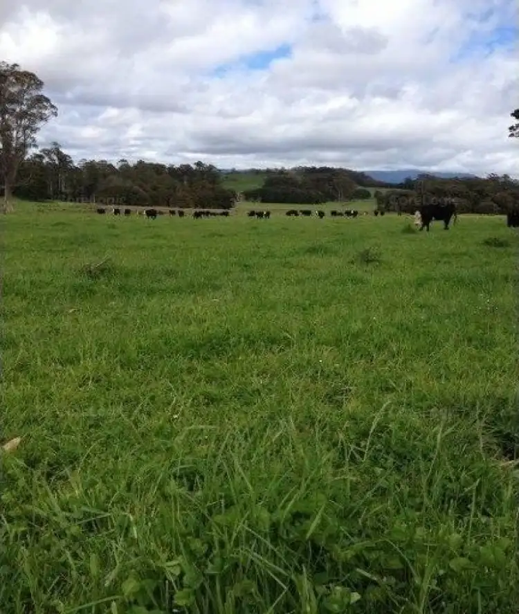 Seventh view of Homely rural property listing, 830 Cradle Mountain Road, Erriba TAS 7310