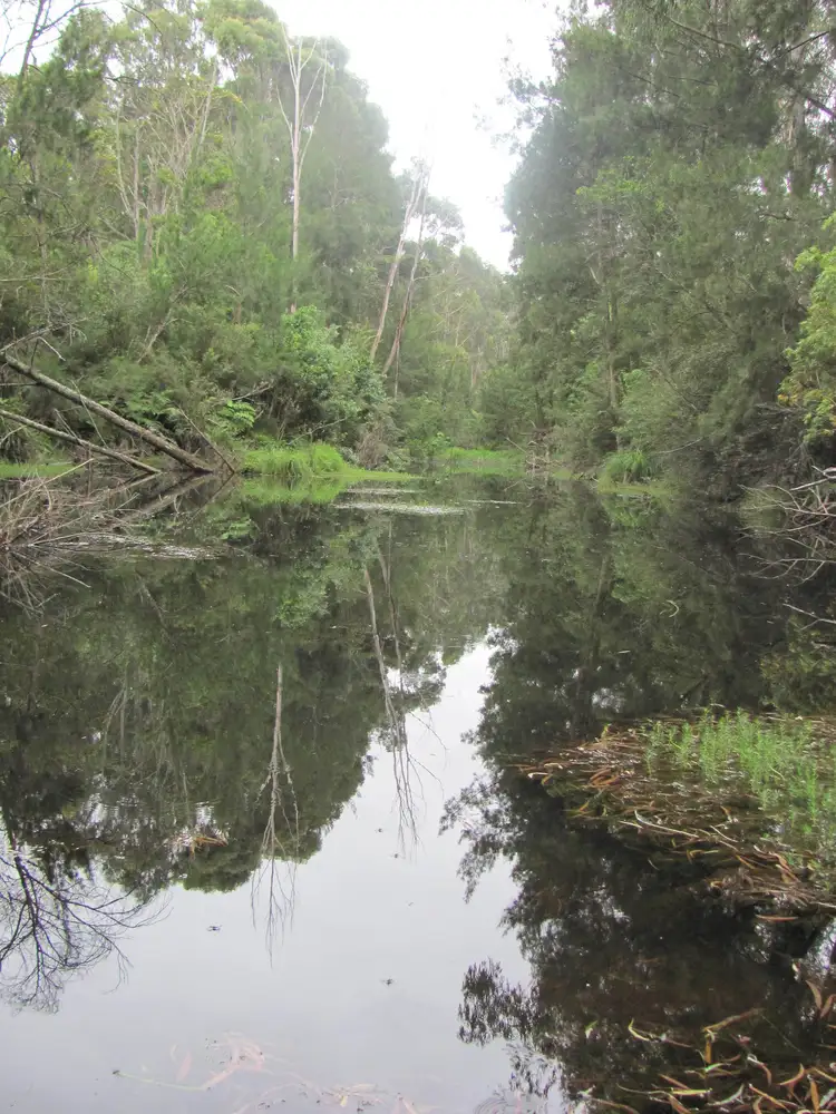 Lot 2, 375 Wamban Road, Moruya NSW 2537