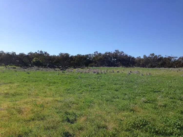 Fifth view of Homely land listing, Lot 117 Loxton Drive, Bookara WA 6525