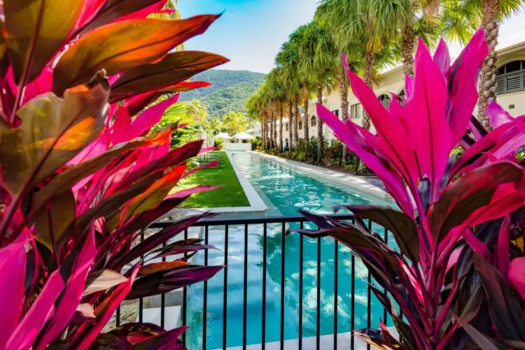 Main view of Homely apartment listing, 41/81-85 Cedar Road, Palm Cove QLD 4879