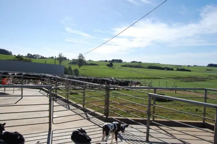Third view of Homely rural property listing, 99 Lottah Rd, Natone TAS 7321