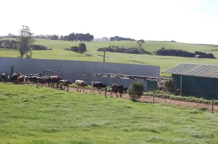 Fifth view of Homely rural property listing, 99 Lottah Rd, Natone TAS 7321