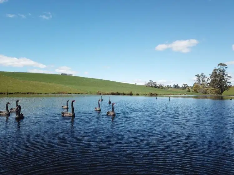 Seventh view of Homely rural property listing, 99 Lottah Rd, Natone TAS 7321