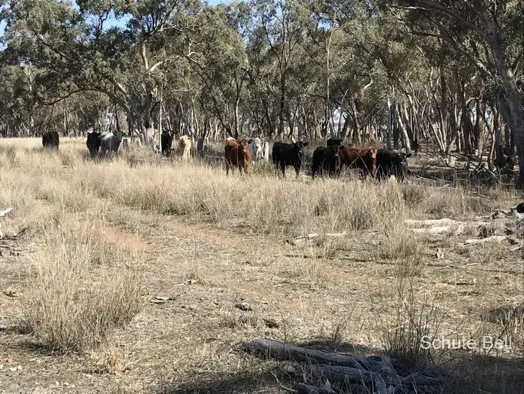 Third view of Homely rural property listing, . 32L Dulcidene Rd, Terramungamine NSW 2830