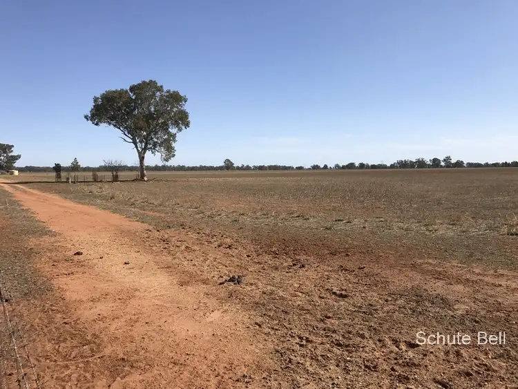 Seventh view of Homely rural property listing, . 32L Dulcidene Rd, Terramungamine NSW 2830
