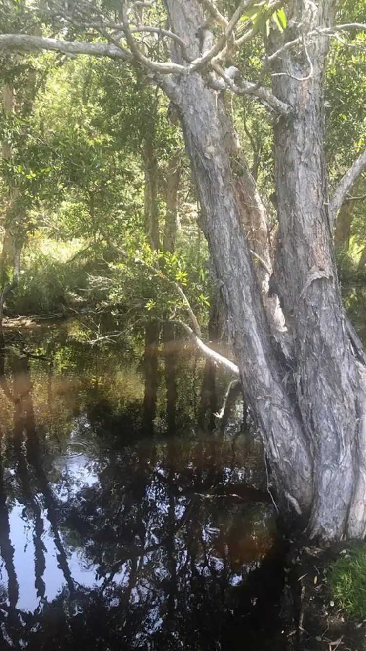 Second view of Homely retirement listing, 136/1A Kalaroo Roiad, Redhead NSW 2290