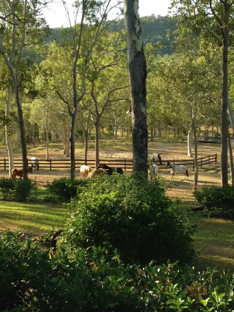 Third view of Homely rural property listing, 93 Bonnie Springs Rd, Proserpine QLD 4800