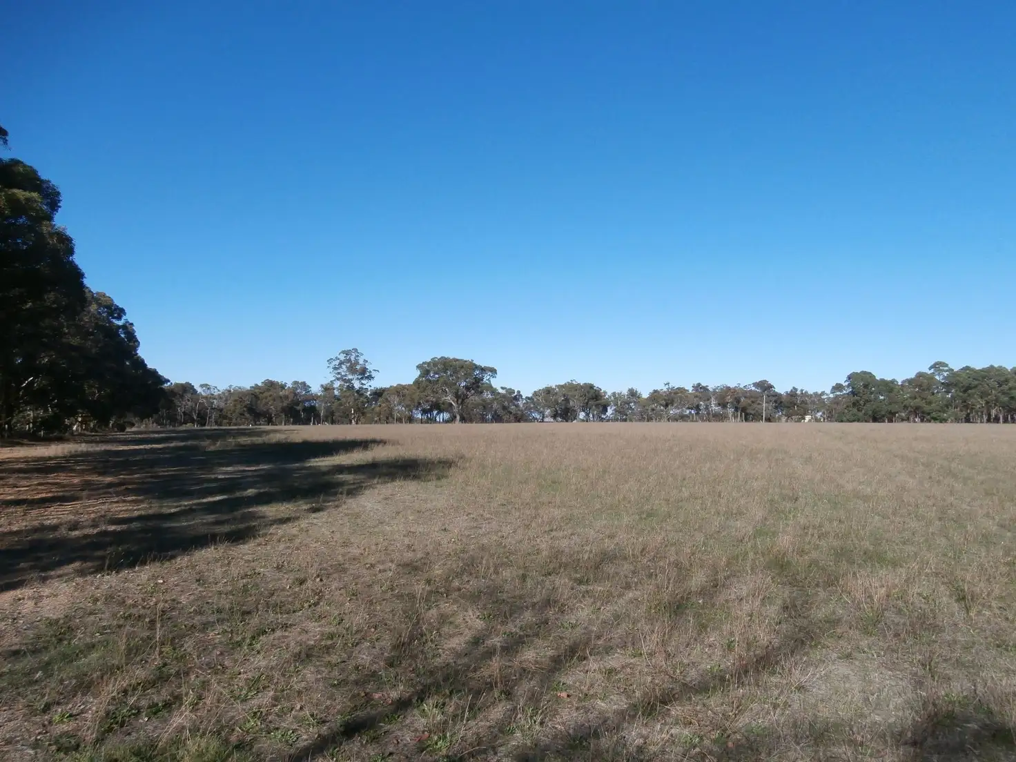 Main view of Homely land listing, 425 Chauvel Road, Kendenup WA 6323