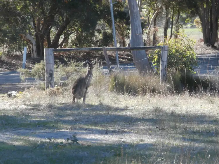 Seventh view of Homely land listing, 425 Chauvel Road, Kendenup WA 6323
