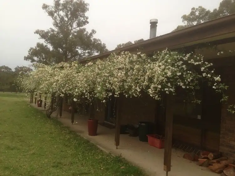 Second view of Homely house listing, 95 Whipbird Road, Pheasants Nest NSW 2574