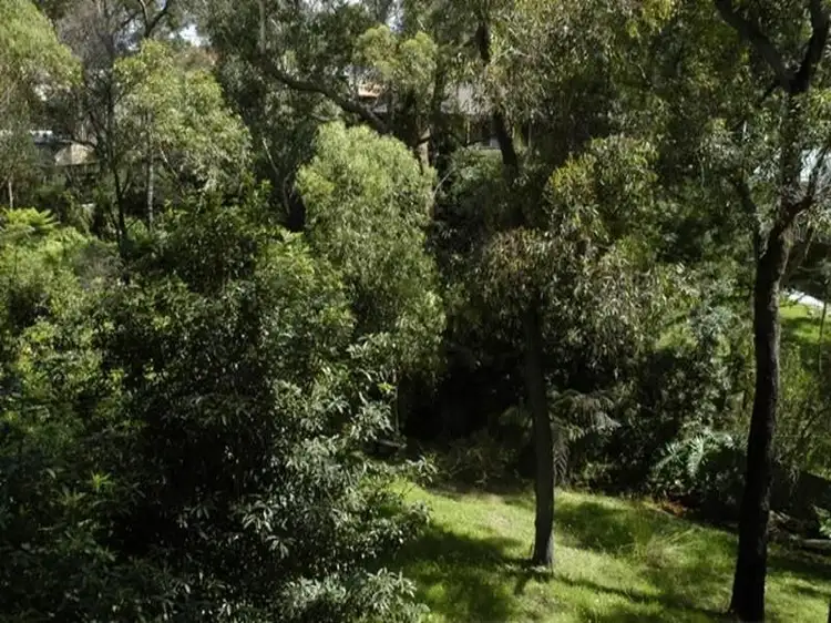 Third view of Homely house listing, 14 Numbat Place, Buxton NSW 2571
