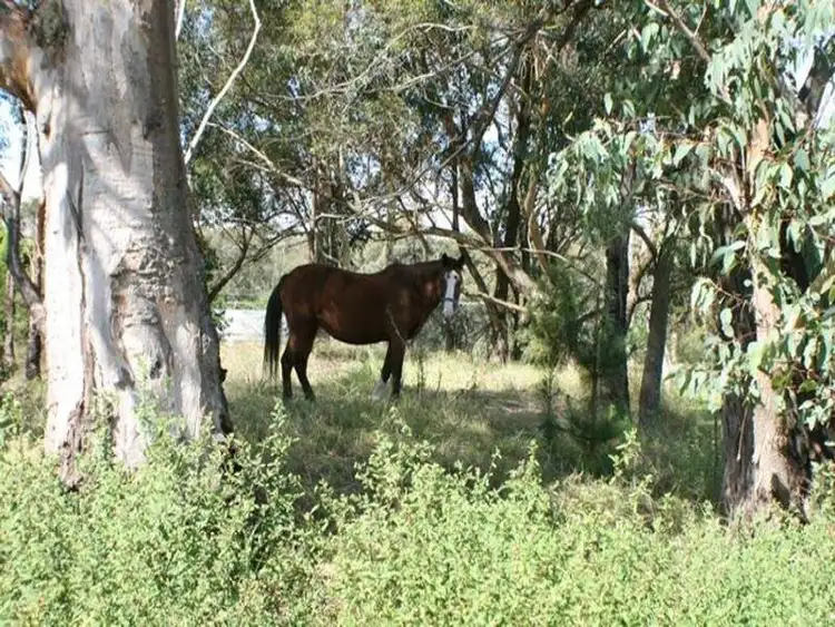 Sixth view of Homely house listing, 5 Leonard Street, Thirlmere NSW 2572