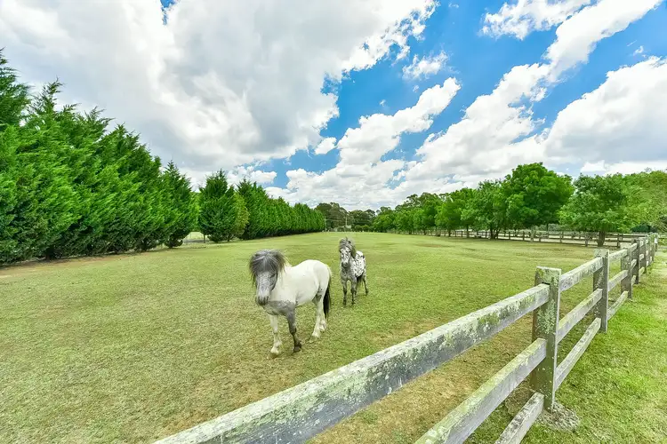 Sixth view of Homely rural property listing, 175 Arina Road, Bargo NSW 2574