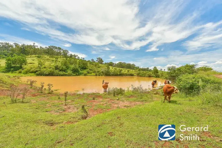 Fifth view of Homely rural property listing, Lot 2/190 Big Hill Road, The Oaks NSW 2570