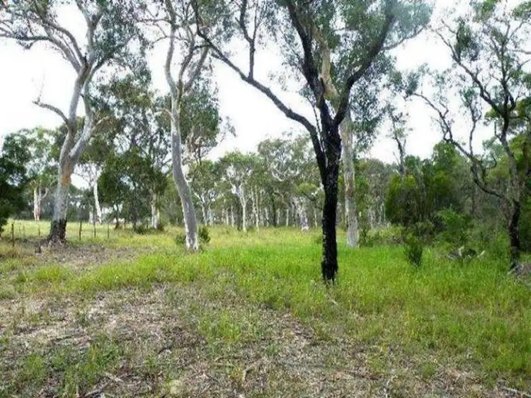 Second view of Homely rural property listing, 495 Pheasants Nest Road, Pheasants Nest NSW 2574