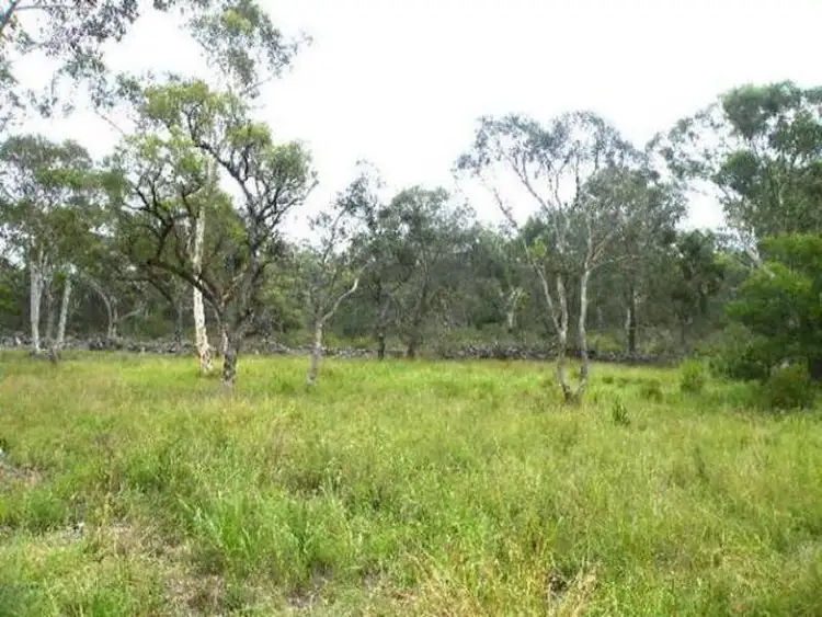 Third view of Homely rural property listing, 495 Pheasants Nest Road, Pheasants Nest NSW 2574