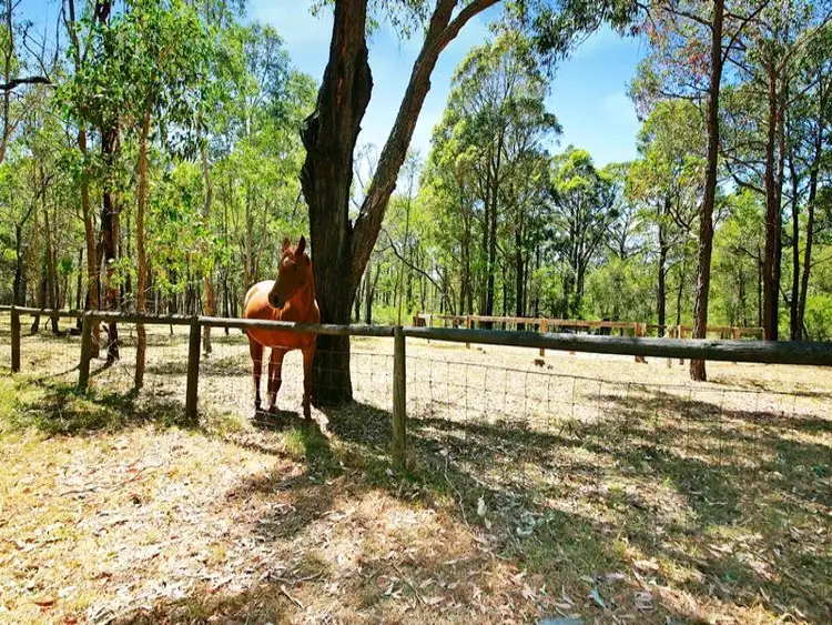 Fifth view of Homely rural property listing, 32 Lisa Road, Wilton NSW 2571