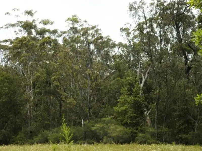 Main view of Homely rural property listing, 125 News Road, Werombi NSW 2570
