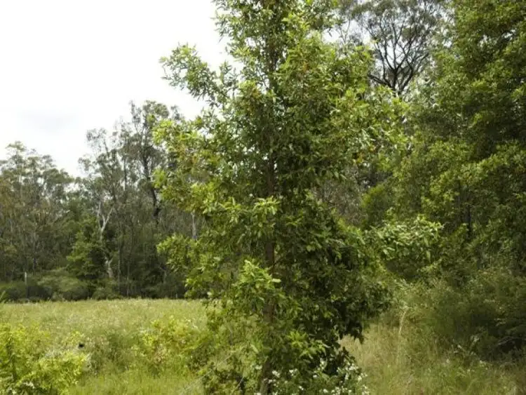 Fourth view of Homely rural property listing, 125 News Road, Werombi NSW 2570