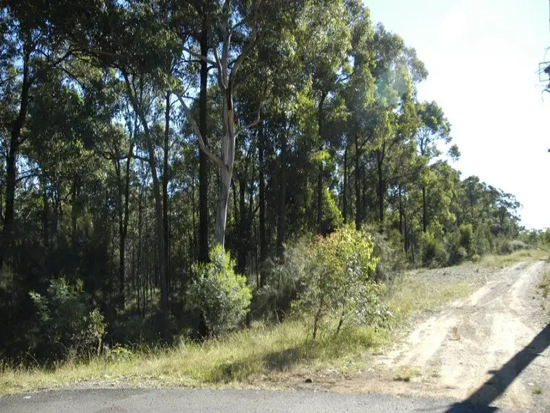 Main view of Homely rural property listing, Lot 4 Esen Way, Pheasants Nest NSW 2574