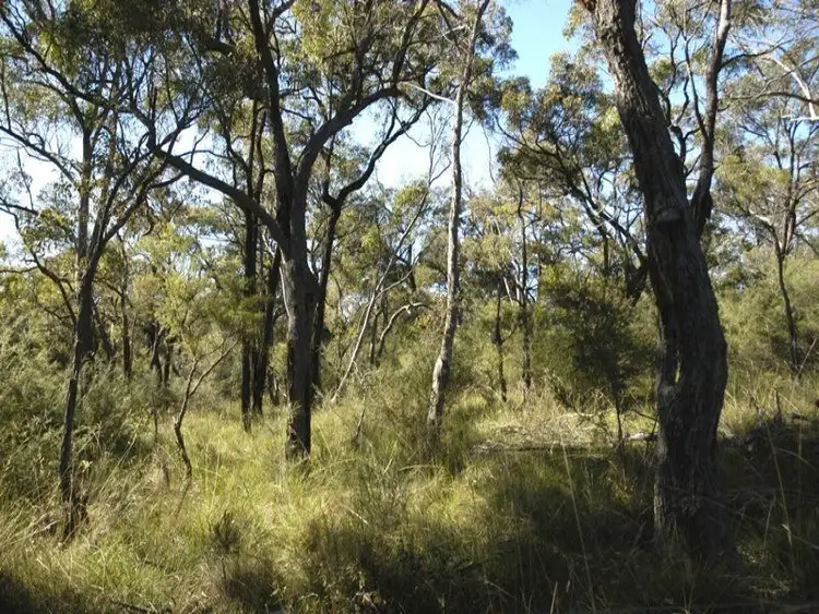 Fourth view of Homely rural property listing, Lot 3 Esen Way, Pheasants Nest NSW 2574