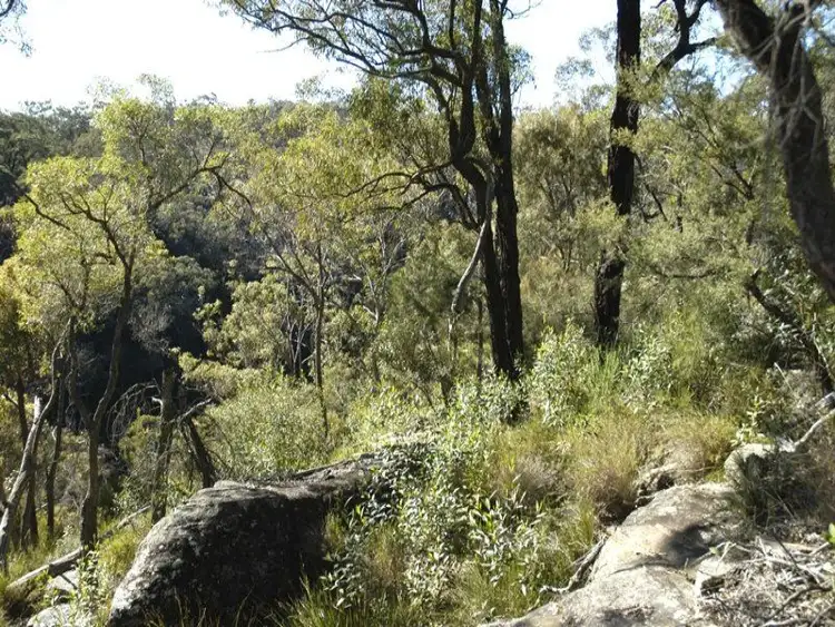 Fifth view of Homely rural property listing, Lot 3 Esen Way, Pheasants Nest NSW 2574