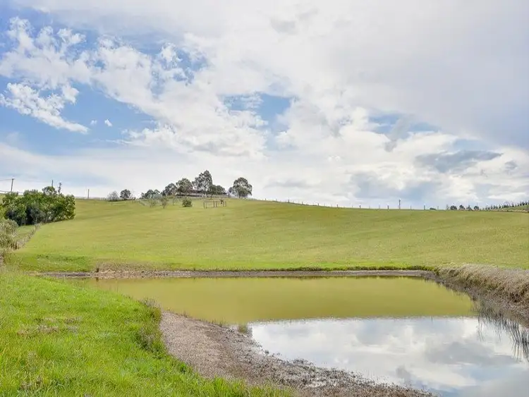 Third view of Homely rural property listing, 565 Menangle Road, Douglas Park NSW 2569
