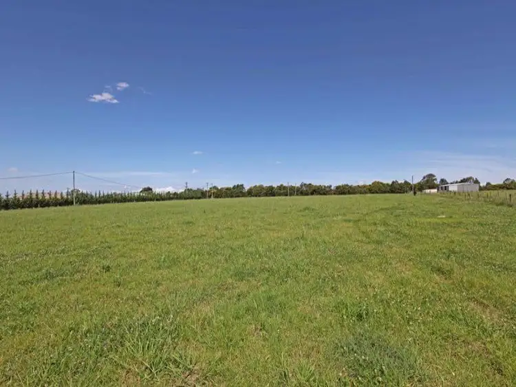 19 Lyrebird Road, Pheasants Nest NSW 2574