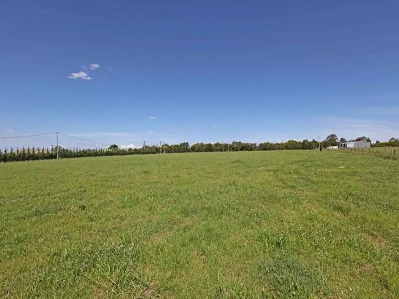 Main view of Homely rural property listing, 19 Lyrebird Road, Pheasants Nest NSW 2574