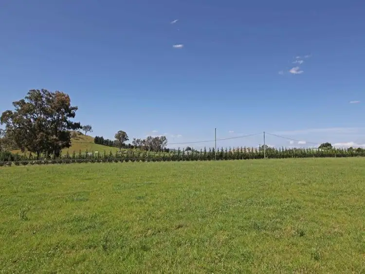 Third view of Homely rural property listing, 19 Lyrebird Road, Pheasants Nest NSW 2574