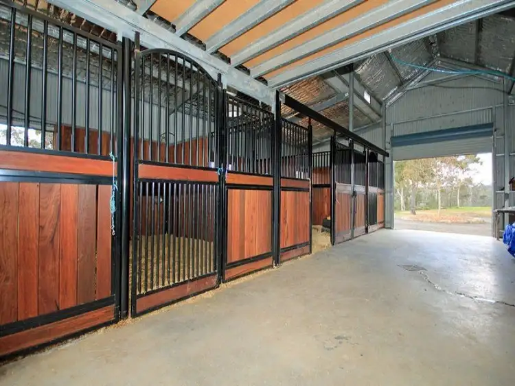 Fifth view of Homely rural property listing, 8 Carra Avenue, Douglas Park NSW 2569