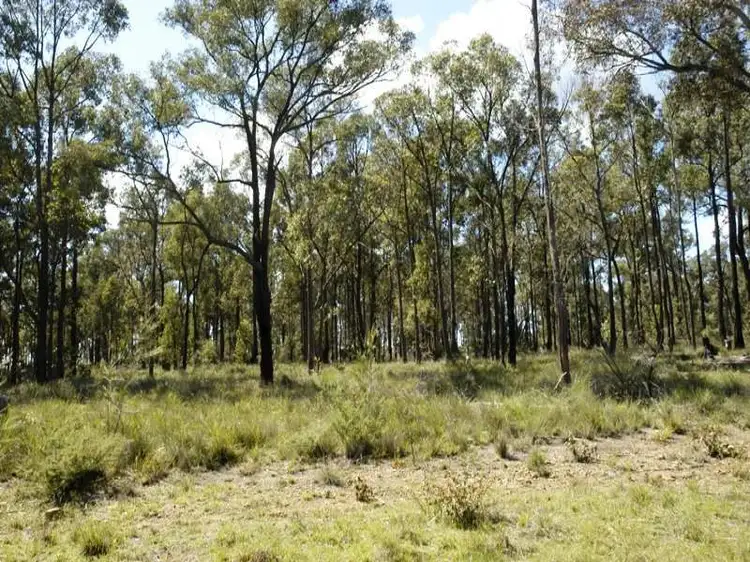 Main view of Homely rural property listing, Lot 1 Esen Way, Pheasants Nest NSW 2574
