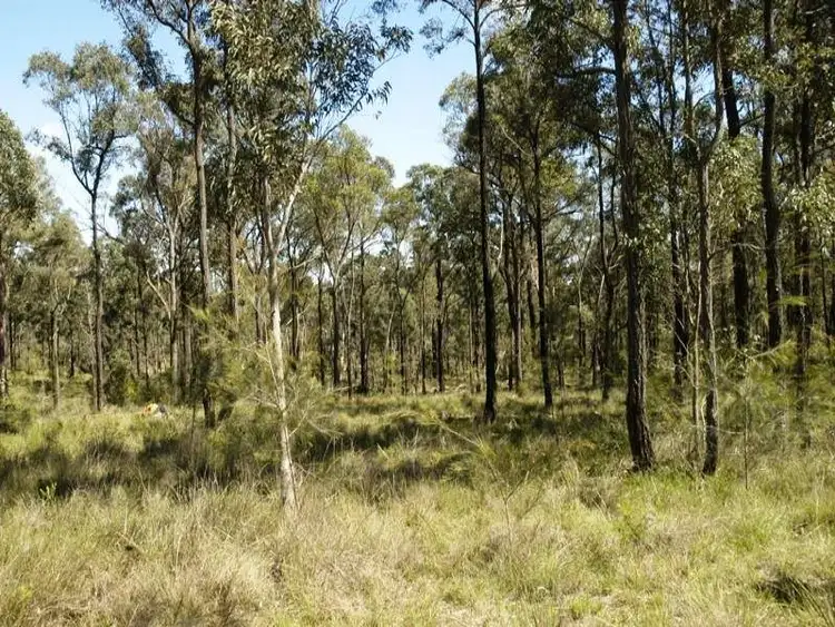 Second view of Homely rural property listing, Lot 1 Esen Way, Pheasants Nest NSW 2574