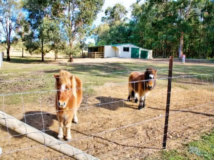 Second view of Homely rural property listing, 50 Russell Lane, Oakdale NSW 2570
